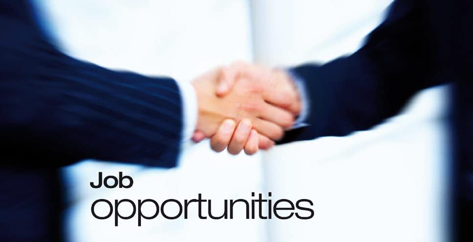 Bring the best of the job opportunity at your doorstep!
